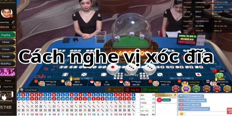 cach-nghe-vi-xoc-dia-1